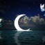 buonanotte