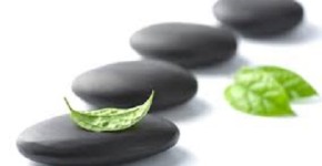 Frasi e aforismi Zen 17 frasi e aforismi zen - la via