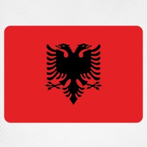 Insulti e parolacce in albanese