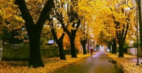Frasi e aforismi sull'autunno 19 frasi e aforismi sull autunno