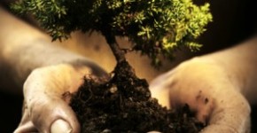 Frasi e aforismi sulla natura 5 frasi e aforismi sulla natura