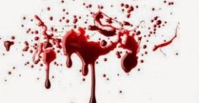 Frasi sul Sangue 19 frasi sul sangue