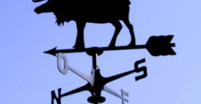 aforismi sul vento