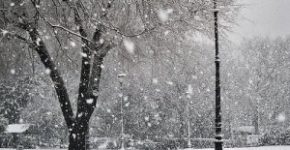 frasi sulle neve